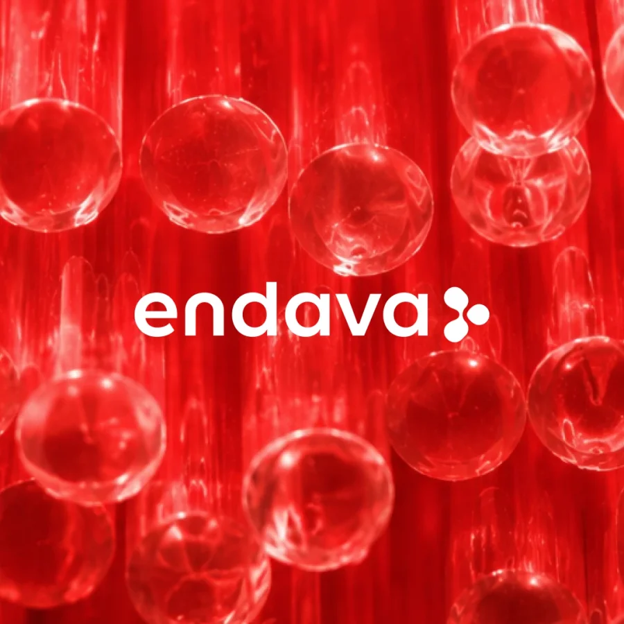 Endava logo on red background.
