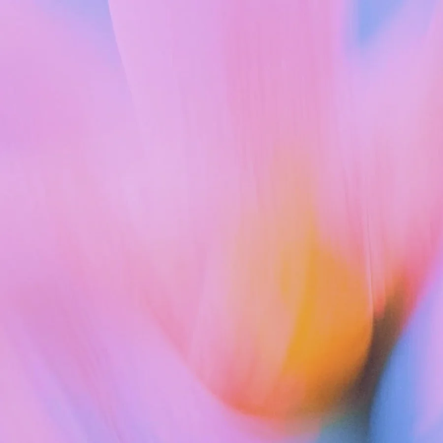 Introducing Trusted Contact in ChatGPT > Art Card