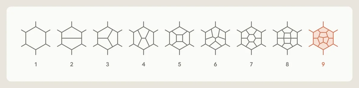 Illustration of nine-loops